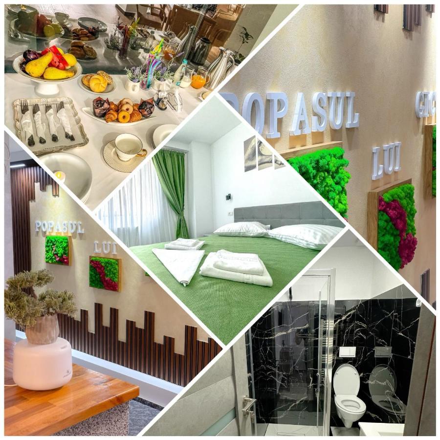 Popasul Lui Gicuta Bed and Breakfast Curtea de Argeş Esterno foto